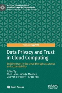 bokomslag Data Privacy and Trust in Cloud Computing