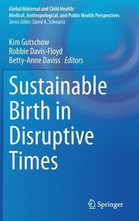 bokomslag Sustainable Birth in Disruptive Times