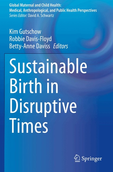 Kim Gutschow, Robbie Davis-Floyd, Betty-Anne Daviss - Sustainable Birth in Disruptive Times, Häftad