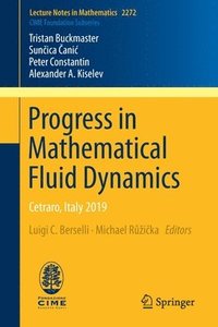 bokomslag Progress in Mathematical Fluid Dynamics