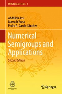 bokomslag Numerical Semigroups and Applications