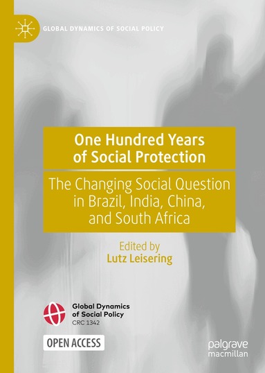 Lutz Leisering - One Hundred Years of Social Protection, Inbunden