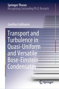 bokomslag Transport and Turbulence in Quasi-Uniform and Versatile Bose-Einstein Condensates