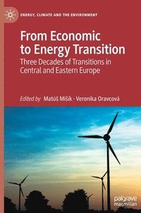 bokomslag From Economic to Energy Transition