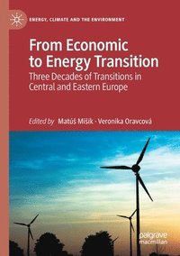 bokomslag From Economic to Energy Transition
