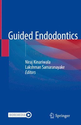 bokomslag Guided Endodontics