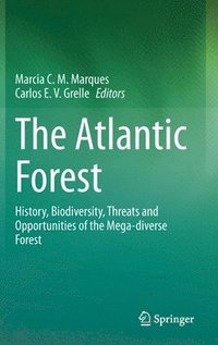 bokomslag The Atlantic Forest