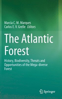 The Atlantic Forest 1