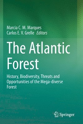 The Atlantic Forest 1