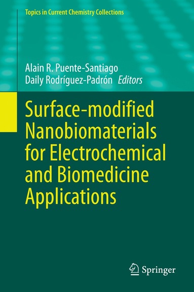 Alain R. Puente-Santiago, Daily Rodríguez-Padrón - Surface-modified Nanobiomaterials for Electrochemical and Biomedicine Applications, Inbunden