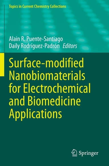 Alain R. Puente-Santiago, Daily Rodríguez-Padrón - Surface-modified Nanobiomaterials for Electrochemical and Biomedicine Applications, Häftad