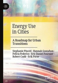 bokomslag Energy Use in Cities