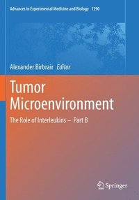 bokomslag Tumor Microenvironment