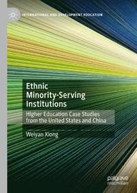 bokomslag Ethnic Minority-Serving Institutions
