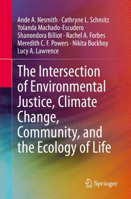 bokomslag The Intersection of Environmental Justice, Climate Change, Community, and the Ecology of Life