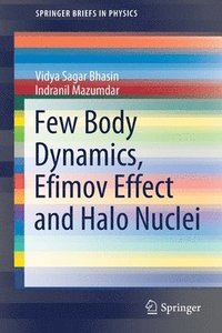bokomslag Few Body Dynamics, Efimov Effect and Halo Nuclei