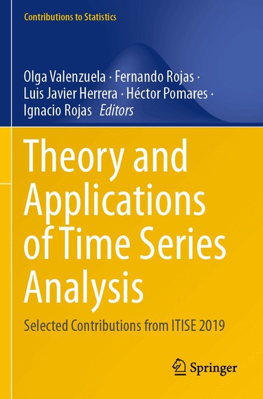 Olga Valenzuela, Fernando Rojas, Luis Javier Herrera, Héctor Pomares, Ignacio Rojas - Theory and Applications of Time Series Analysis, Häftad