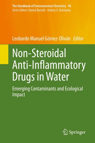 Leobardo Manuel Gómez-Oliván - Non-Steroidal Anti-Inflammatory Drugs in Water, Inbunden