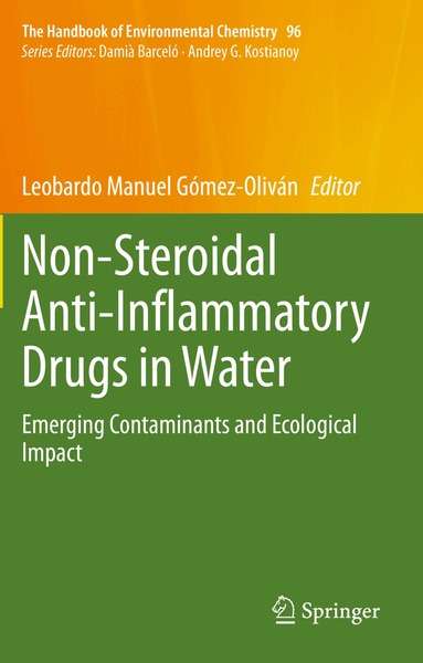 Leobardo Manuel Gómez-Oliván - Non-Steroidal Anti-Inflammatory Drugs in Water, Häftad