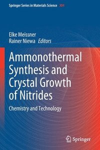 bokomslag Ammonothermal Synthesis and Crystal Growth of Nitrides