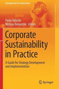 bokomslag Corporate Sustainability in Practice