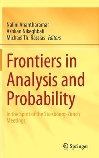 bokomslag Frontiers in Analysis and Probability