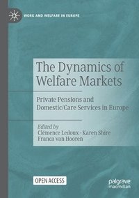 bokomslag The Dynamics of Welfare Markets