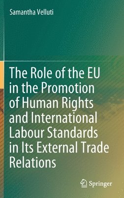 bokomslag The Role of the EU in the Promotion of Human Rights and International Labour Standards in Its External Trade Relations