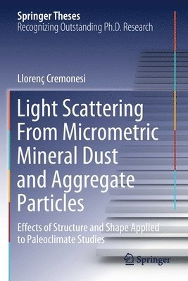 bokomslag Light Scattering From Micrometric Mineral Dust and Aggregate Particles