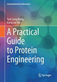 bokomslag A Practical Guide to Protein Engineering