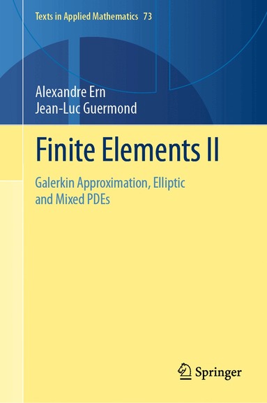 Alexandre Ern, Jean-Luc Guermond - Finite Elements II, Inbunden