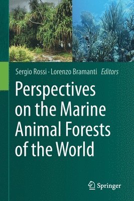 Sergio Rossi, Lorenzo Bramanti - Perspectives on the Marine Animal Forests of the World, Häftad