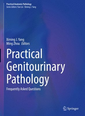 bokomslag Practical Genitourinary Pathology