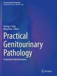 bokomslag Practical Genitourinary Pathology