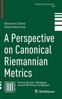 bokomslag A Perspective on Canonical Riemannian Metrics