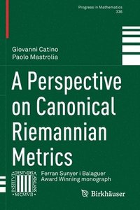 bokomslag A Perspective on Canonical Riemannian Metrics
