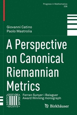 bokomslag Perspective on Canonical Riemannian Metrics