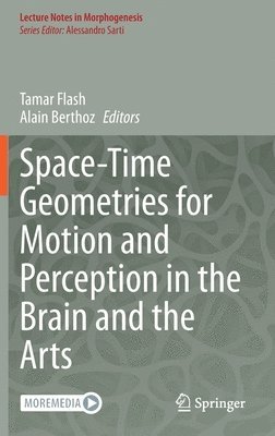 bokomslag Space-Time Geometries for Motion and Perception in the Brain and the Arts