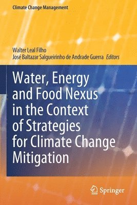 bokomslag Water, Energy and Food Nexus in the Context of Strategies for Climate Change Mitigation