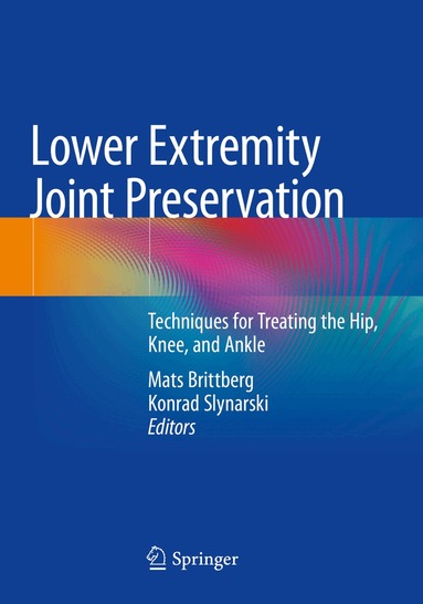 Mats Brittberg, Konrad Slynarski - Lower Extremity Joint Preservation, Häftad