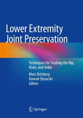 bokomslag Lower Extremity Joint Preservation