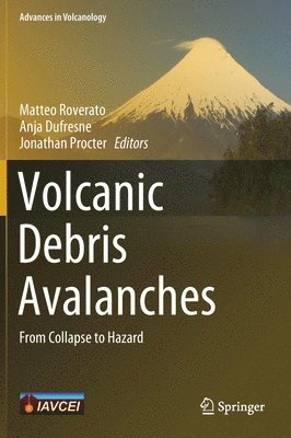 bokomslag Volcanic Debris Avalanches