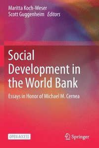 bokomslag Social Development in the World Bank