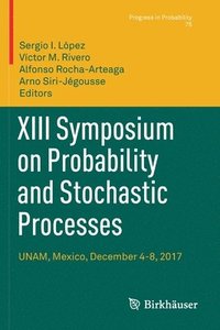 bokomslag XIII Symposium on Probability and Stochastic Processes