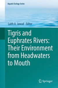 bokomslag Tigris and Euphrates Rivers: Their Environment from Headwaters to Mouth