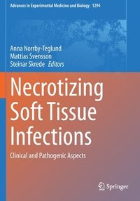 bokomslag Necrotizing Soft Tissue Infections
