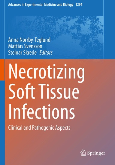 Anna Norrby-Teglund, Mattias Svensson, Steinar Skrede - Necrotizing Soft Tissue Infections, Häftad