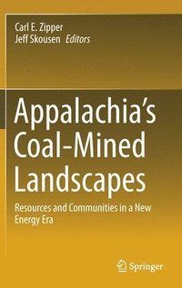 bokomslag Appalachia's Coal-Mined Landscapes