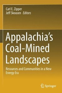 bokomslag Appalachia's Coal-Mined Landscapes