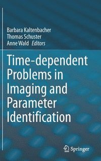 bokomslag Time-dependent Problems in Imaging and Parameter Identification